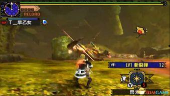 国产弩打猎视频,传统与现代的猎场对决