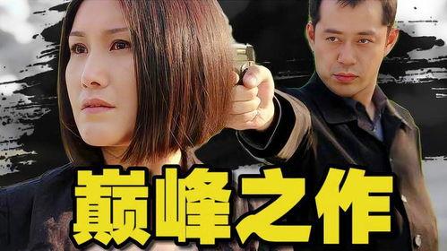 破案视频电视剧国产,国剧中的智慧与勇气