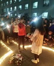 女同性视频国产,展现多元情感与性别认同