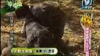 国产户外挑战视频,国产户外探险视频集锦