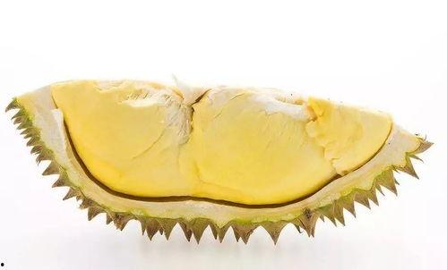 国产榴莲真假鉴别图片视频,图片视频教你轻松辨别