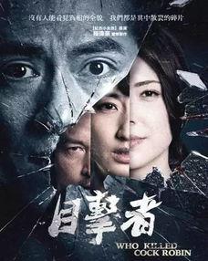 国产最强悬疑片解说视频,揭秘视频中的惊悚谜团