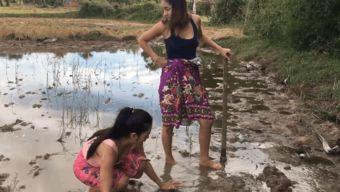 国产厕所视频女生不露脸,国产厕所视频中的女性身影