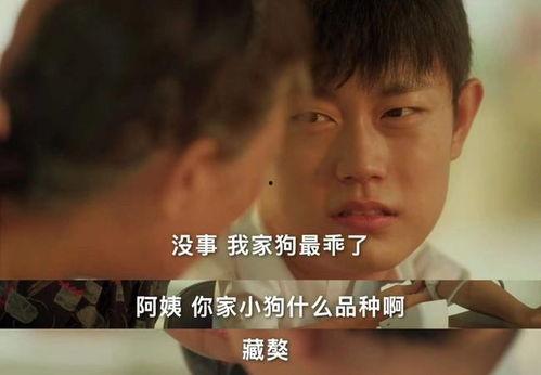 国产剧搞笑全部视频