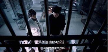 国产精彩视频精品
